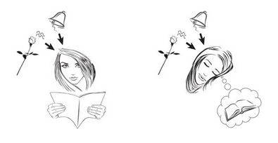 Sleep Memory Consolidation
